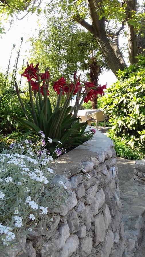 Apartment Barica Trsteno Dış mekan fotoğraf