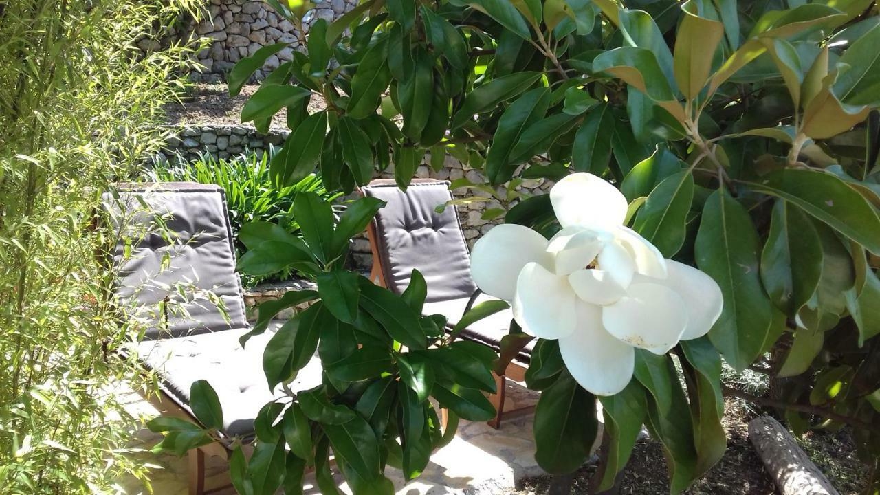 Apartment Barica Trsteno Dış mekan fotoğraf